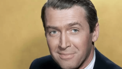 Jimmy Stewart Net Worth