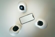 fraud alert hotline numbers