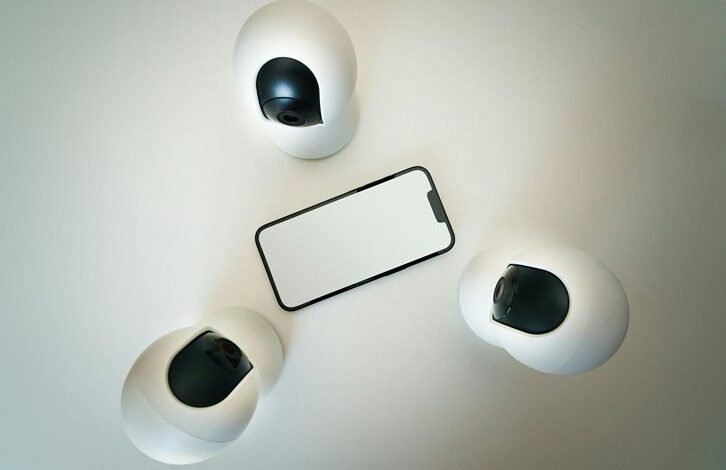 fraud alert hotline numbers