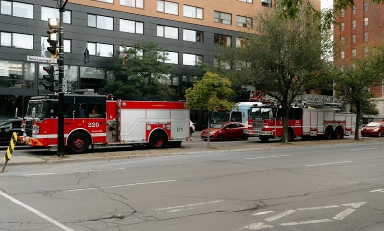 fraud protection hotline numbers