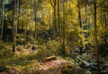 travel hacks discovery site