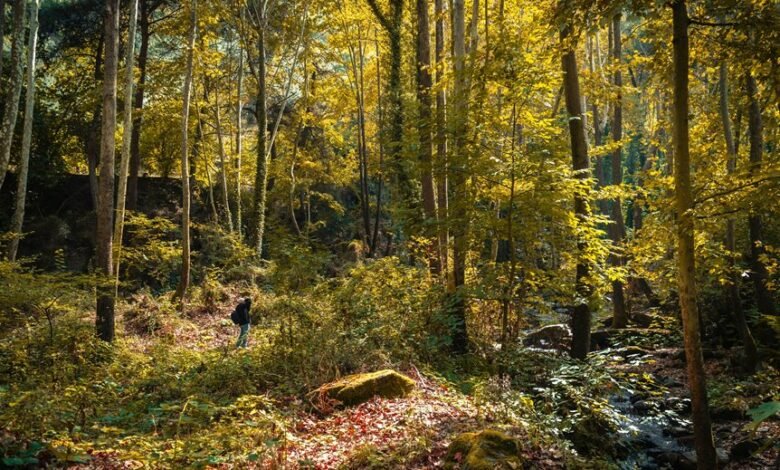 travel hacks discovery site